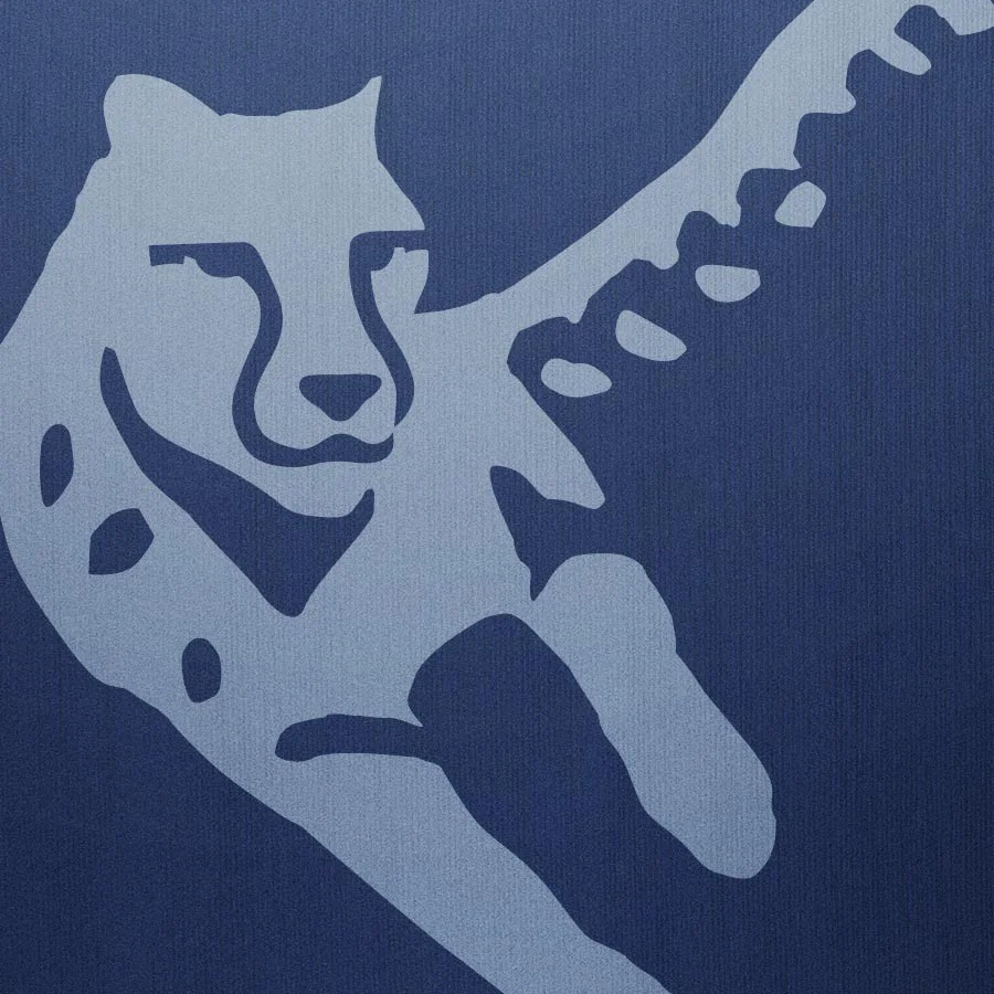 BRT Logo